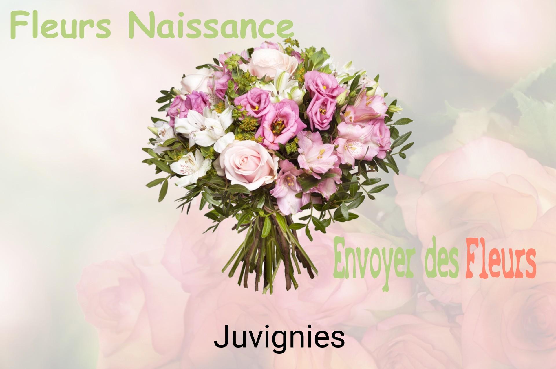 Bouquet de fleurs de naissance livré à Juvignies